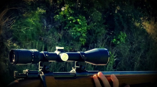 Vortex Diamondback scope on M38 Husky.