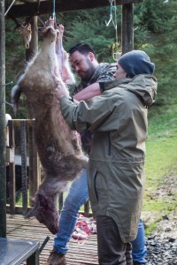 Two at a time makes the day go quicker. And yup, that's your's truly elbow deep in a deer carcass. Photo credit - Kerry Adams