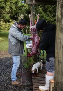 Getting me some backstrap. Photo credit - Kerry Adams