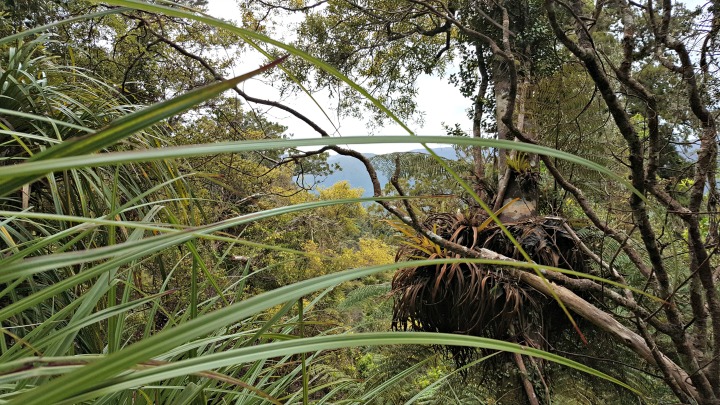 On our way through Kauaeranga Valley we caught some peeks of the peaks. If you're lucky, this great outdoors is your gymnasium. If you're not that lucky - you'll have to do something else to raise your fitness.