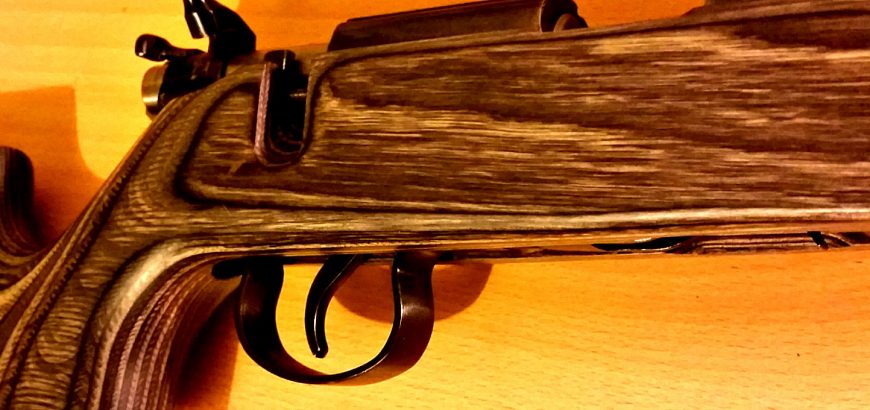 JW-15 with adjusted trigger in Boyds varmint stock.